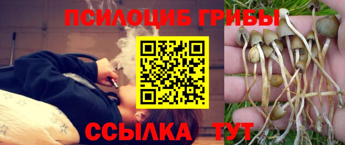 Псилоцибиновые грибы ЛСД  Вход с VPN  Псилоцибиновые грибы Psilocybine cubensis  Краснознаменск 
